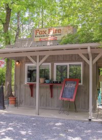 Fox-Fire-67-e1541728229144